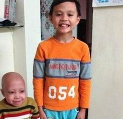 子宫内膜6mm试管成功案例多不多？