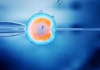 武汉试管婴儿-三代的费用是多少？技术有哪些优势？