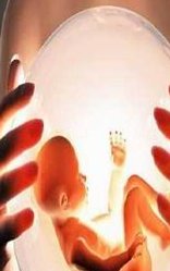 三代试管婴儿私立医院生出来的小孩会不会很丑？这是你应该关心的！