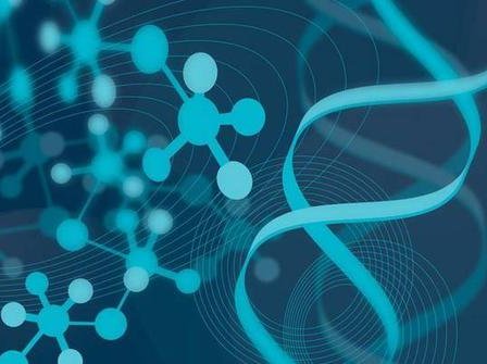 成都试管婴儿流程是怎样的？